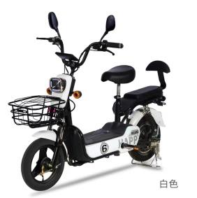 /storage/photos/1/Bike/pr102_img.jpg