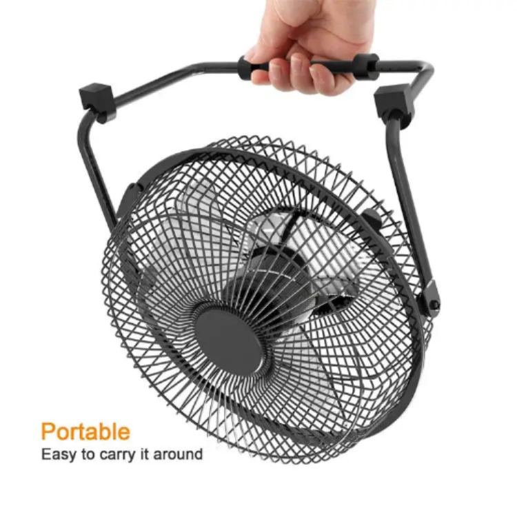 /storage/photos/1/Blog/fan15.png