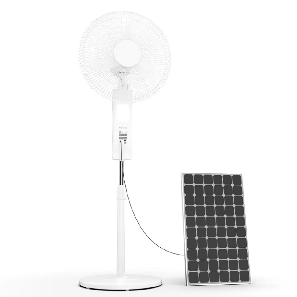 /storage/photos/1/Blog/fan3.png
